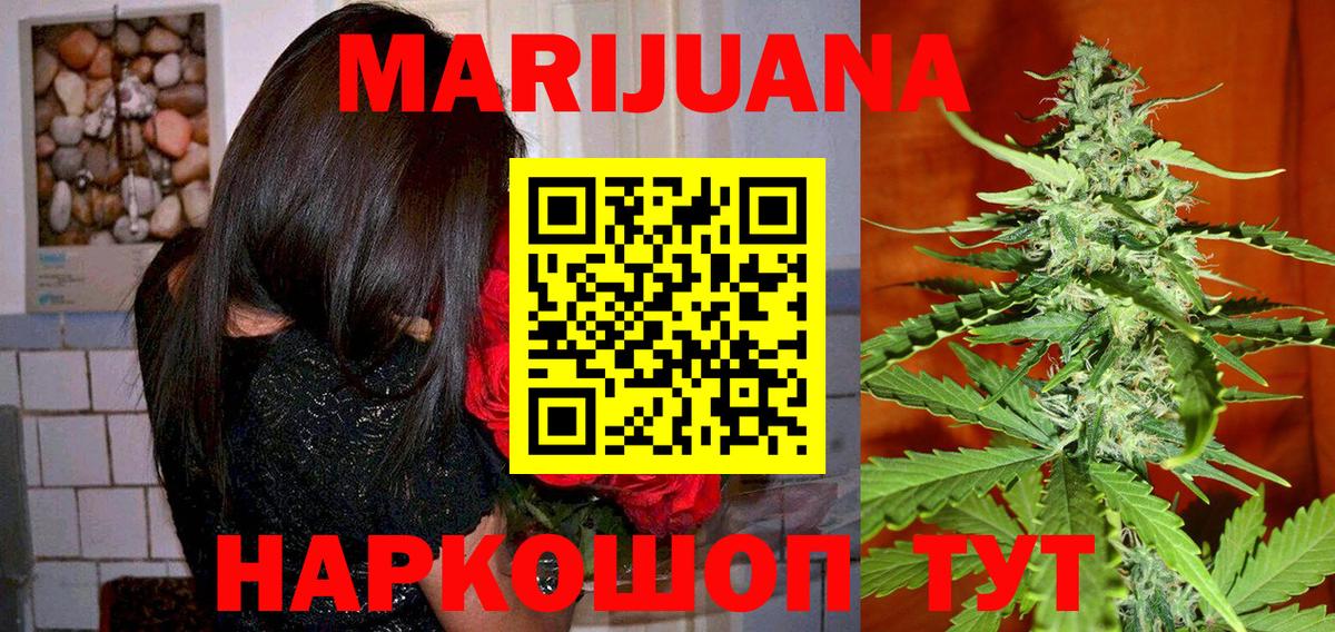 Канабис сатива  Марихуана план  МАРИХУАНА тримм  Знаменск  Марихуана White Widow  Вход с VPN 